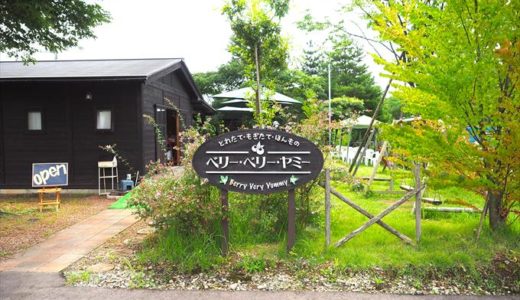 【ベリー･ベリー･ヤミー】富山でブルーベリー狩りと自家製スイーツを楽しもう！